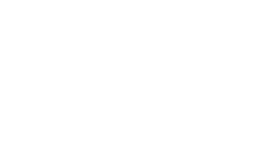 White Logo